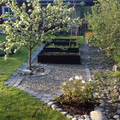 there is a garden in the yard with rocks and trees around it, including an apple tree