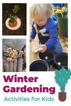 winter gardening activities for kids with pictures of plants and seedlings in buckets on the ground