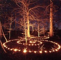 a circle of lights in the middle of a forest filled with trees and branches at night