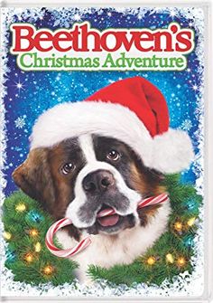 a dog wearing a santa hat and holding a candy cane in its mouth with the words beethown's christmas adventure on it