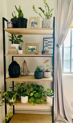 the shelves are filled with plants and potted plants