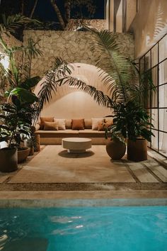 an indoor swimming pool with potted plants next to it and a couch in the middle