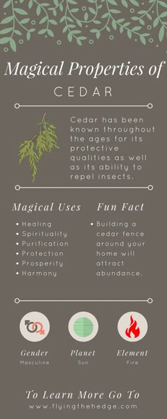 the magic properties of haw thorn's tree info sheet, with instructions on how to use it