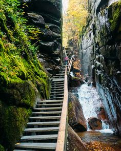 stairs leading up to a waterfall in the woods