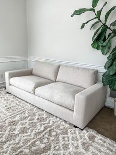 a living room with a white couch and potted plant on the floor next to it