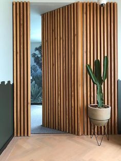 a cactus in a pot sitting on top of a wooden floor next to a wall