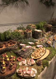 a table topped with lots of desserts and cakes on top of grass covered ground