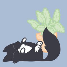 a black cat laying on its back next to a potted plant with green leaves