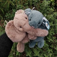 two stuffed animals are hugging each other in front of some bushes and trees with green leaves