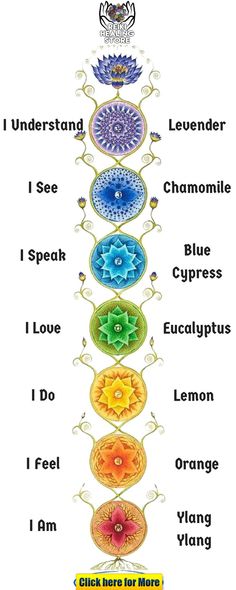 Meridian System, Herb Magick, Chakra Health, Arte Yoga, Insta Quotes, Reiki Healer, Magic System, Chakra Affirmations, Witch Stuff