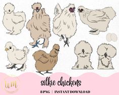 some chicken cliparts are shown on a pink background