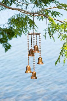 three bells hanging from a tree near the water