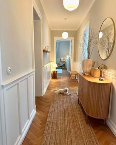 a dog laying on the floor in a hallway next to a table with a mirror