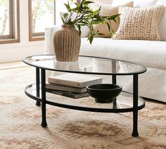 a living room with a couch, coffee table and potted plant