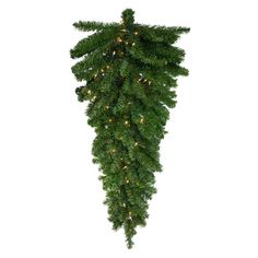 a green christmas tree with lights hanging from it's branches on a white background