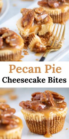 Delicious Pecan Pie Cheesecake Bites Pecan Pie Cheesecake Topping, Mini Pecan Pie Cheesecake Recipe, Pecan Pie Mini Cheesecakes, Pecan Graham Cracker Crust, Cheesecake Recipes Bites, Pecan Pie Cheesecake Bites, Pecan Topping For Cheesecake, Southern Cheesecake, Mini Pecan Pie Cheesecakes