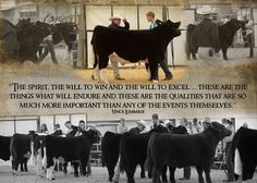 there are many cows and men standing in the ring with their names on it's side