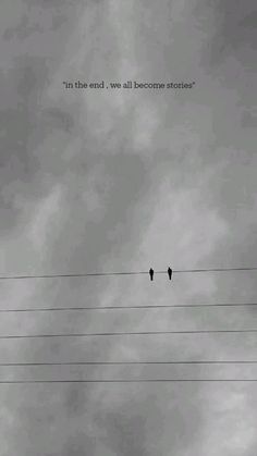 two birds sitting on top of power lines under a cloudy sky with the words in the end, we all become stories