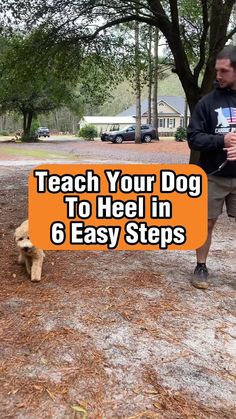 a man walking his dog in the park with an orange sign that says teach your dog to heel in 6 easy steps