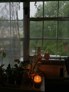 a window with some plants and candles in front of it