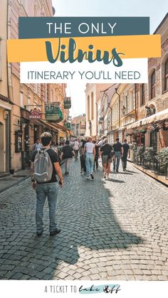 people walking down a cobblestone street with text overlay that reads, the only vilnins library you'll need