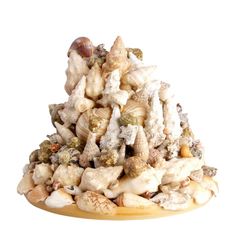 a pile of sea shells sitting on top of a wooden plate