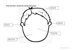 the parts of a man's head