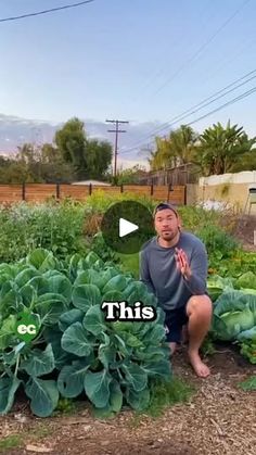 a man kneeling down in front of a garden filled with green vegetables and plants that are growing