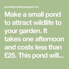 the words make a small pond to attract wildlife to your garden it takes one afternoon and cost less than $ 25