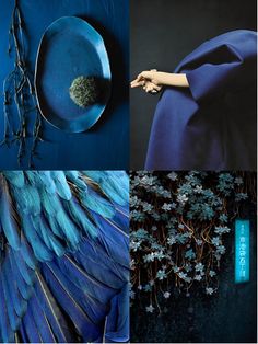 the collage shows blue and green feathers, a woman's hand holding a plate with