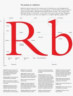 the anatomy of a letter r is shown in red