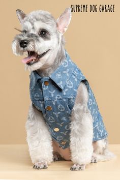 denim dog Dog Garage, Denim Dog, Designer Dog Clothes, Designer Dog, Dog Vest, Dog Jacket, Luxury Dog, Dog Sweaters, Dog Hoodie