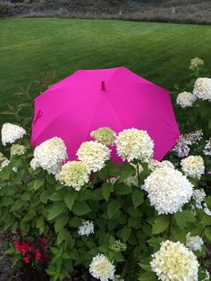 a pink umbrella sitting on top of a lush green field next to white and red flowers