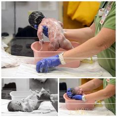 a collage of photos showing the process of making a baby in a bath tub