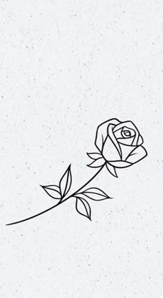 a single rose on a white paper with black lines in the middle and one flower at the end