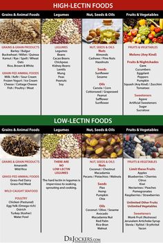 Why You Should Avoid Lectins in Your Diet! - DrJockers.com Low Lectin Foods, Lectin Free Foods, Food Essentials, Plant Paradox Diet, Lectin Free Diet, Dr Gundry, Different Foods, Lectin Free, Plant Paradox