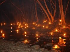 many lit candles are floating in the water near some rocks and trees at night time