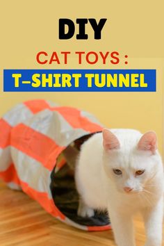 a white cat is standing in a tunnel on the floor with text overlay that reads diy cat toys t - shirt tunnel