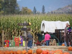 several people standing in front of a corn field with pumpkins and an old wagon