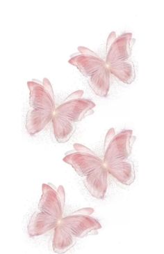 three pink butterflies on a white background