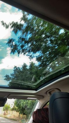 the view from inside a car looking at trees in the back window and on the passenger seat