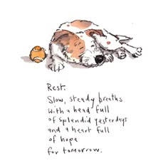 a drawing of a dog laying down with its head on a tennis ball and the caption reads rest slow, steady plants with a head full of splend