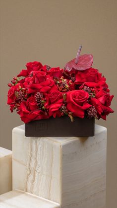 red roses in a black box on top of a white marble block with a brown background