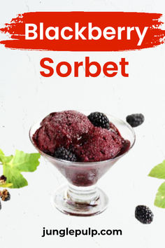 blackberry sorbet in a small glass bowl with berries around it and the words, blackberry sorbet