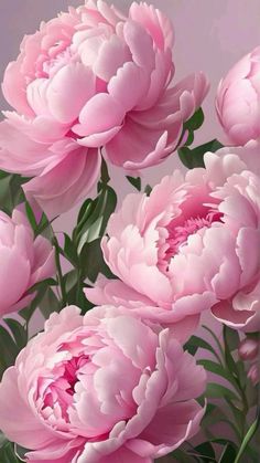 a bunch of pink flowers are in a vase