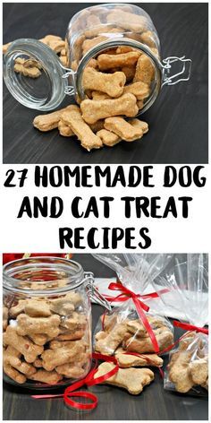 2 homemade dog and cat treat recipes