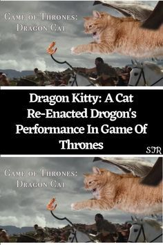 an orange cat flying through the air next to a game of thrones dragon kitty