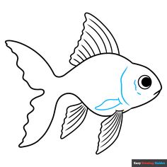 a drawing of a fish with blue lines on it's body and the tail