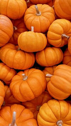 a pile of orange pumpkins sitting next to each other