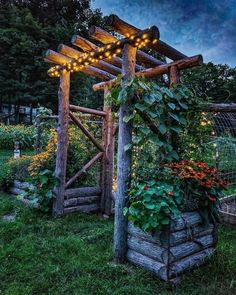 an outdoor garden with lights on it